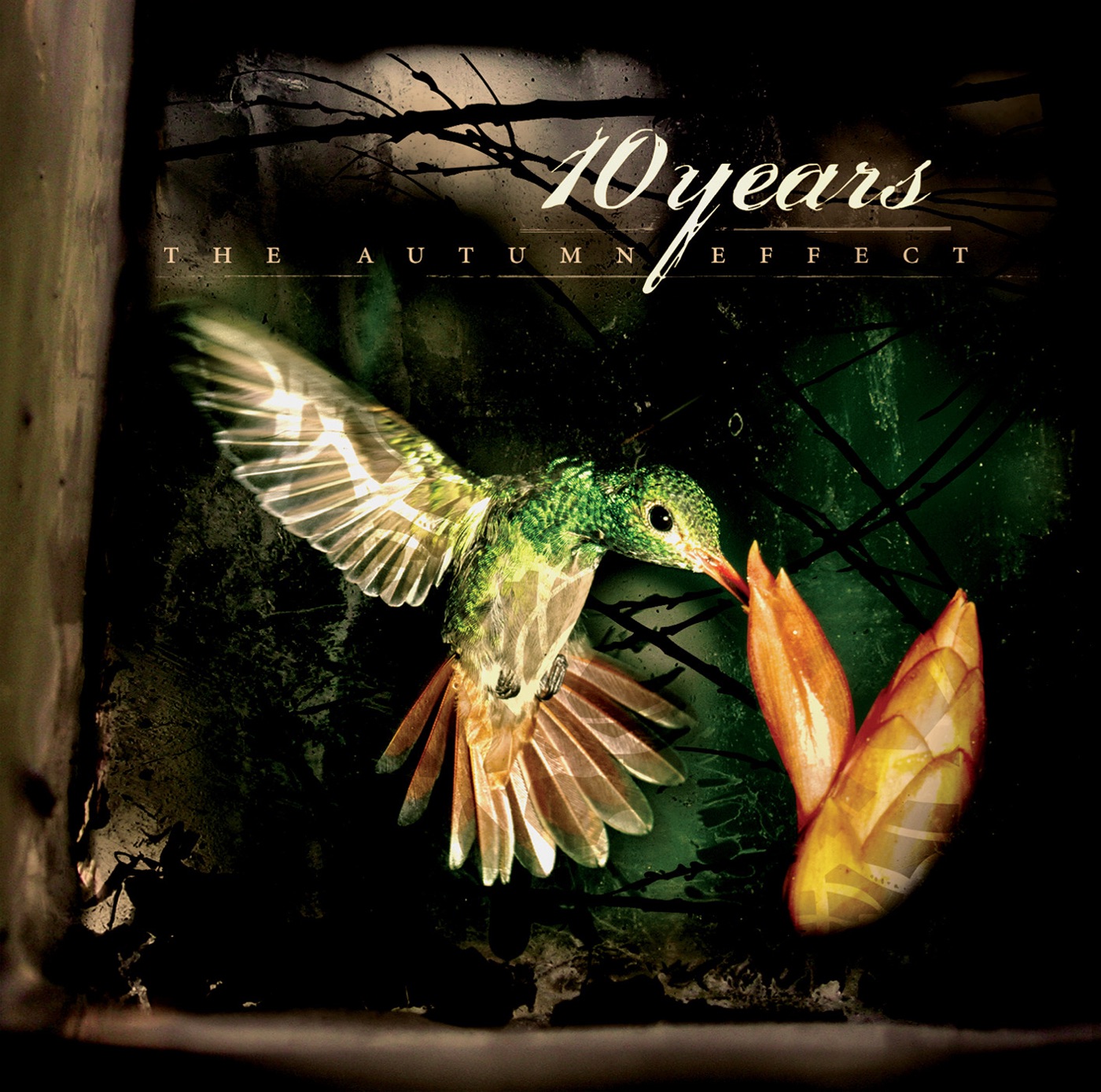 Buy CD!